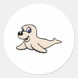 cute baby seal pup