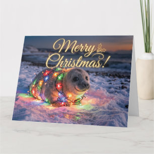 Cute Baby Seal Wrapped in Christmas Lights Card