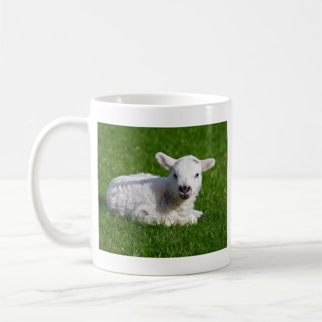 Cute baby sheep lying in grass coffee mug (Left)