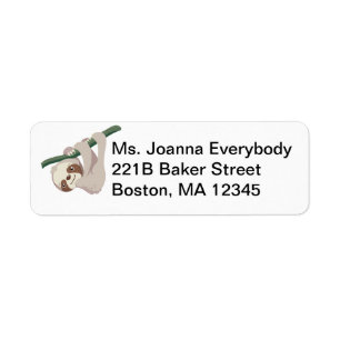 Cute Baby Sloth on a Branch