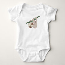 Cute Baby Sloth on a Branch