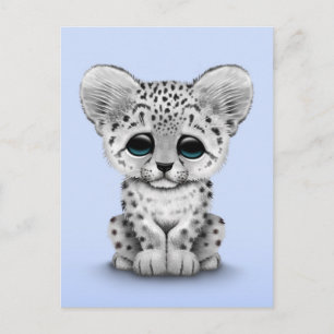 Cute Baby Snow Leopard Cub on Light Blue Postcard