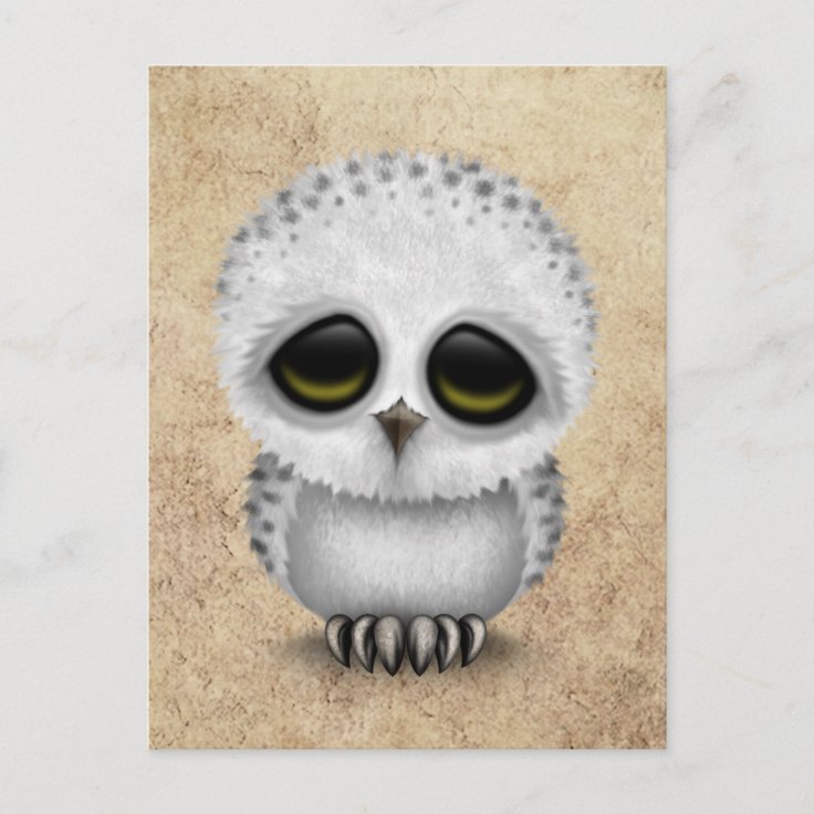 baby snowy owl drawing