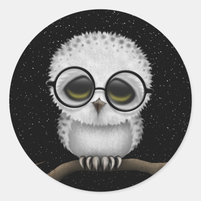 Cute Baby Snowy Owl Wearing Glasses with Stars Classic Round Sticker (Front)