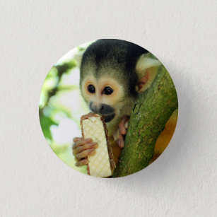 Cute Baby Squirrel Monkey Eating a Wafer Biscuit 1 Inch Round Button