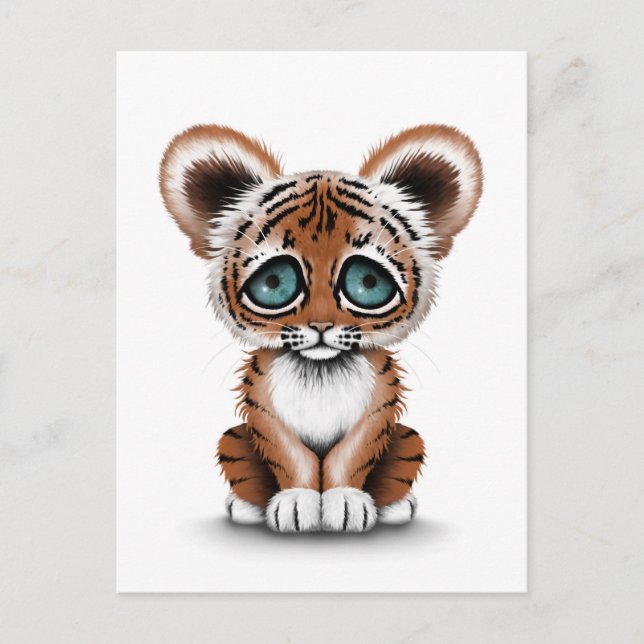 Cute Baby Tiger Cub with Blue Eyes on White Postcard (Front)