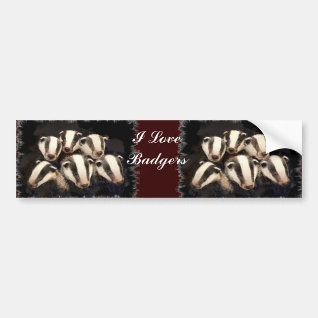 Cute Badger Cubs Bumper Sticker (Front)