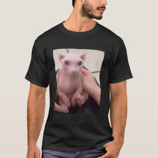 Cute Bald Bingus My Beloved Hairless Sphinx Cat T-Shirt