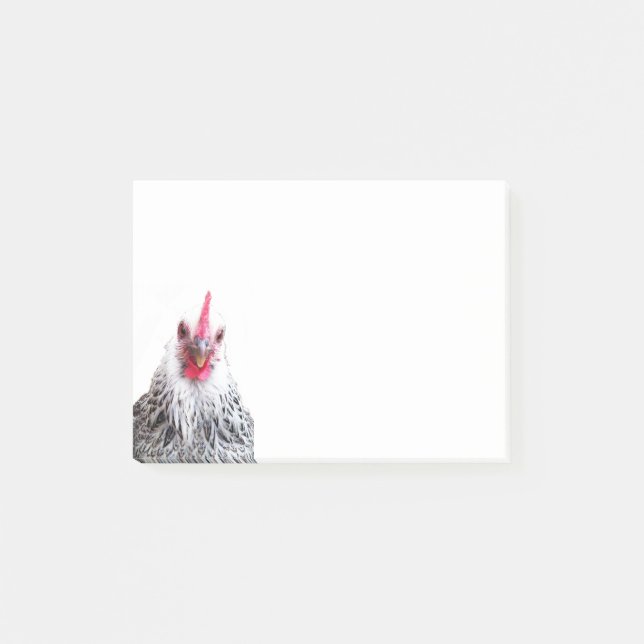 Cute Bantam Cochin Hen Photo 4x3 Notes (Front)