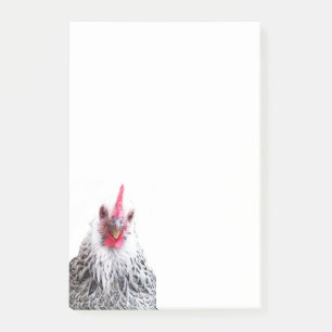 Cute Bantam Cochin Hen Photo 4x6 Notes