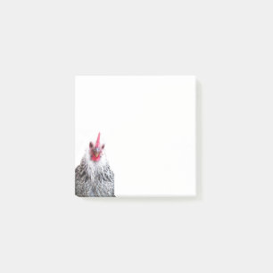 Cute Bantam Cochin Hen Photo Note Pad
