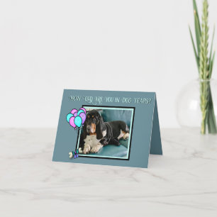 Cute Basset Hound on "Dog Years" Birthday Card 