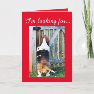 Cute Basset Hound Searching for a Valentine Holiday Card