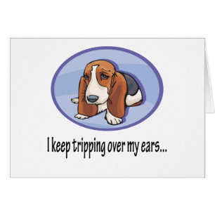 Cute Bassett Hound Pup