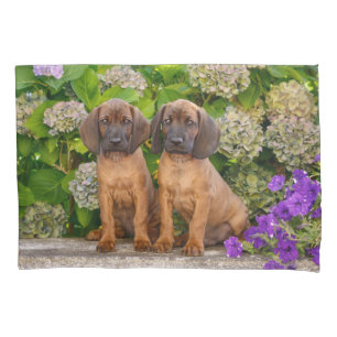 Cute Bavarian Mountain Hound Puppies with Flowers Pillowcase