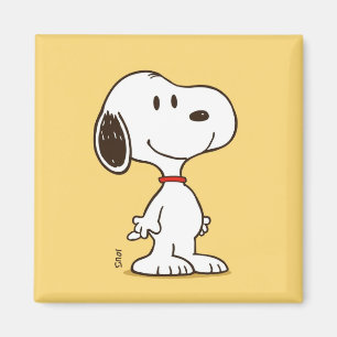 Cute Beagle Cartoon Character Illustration Magnet