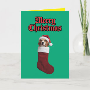 Cute Beagle Christmas Holiday Card