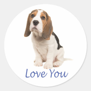 Cute Beagle Dog Lover Miss You Puppy Love You   Classic Round Sticker