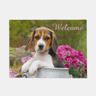 Cute Beagle Dog Puppy in Milk Churn - Welcome Doormat