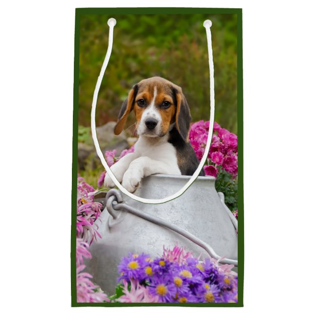 Cute Beagle Dog Puppy in Milk Churn with Flowers - Small Gift Bag (Front)