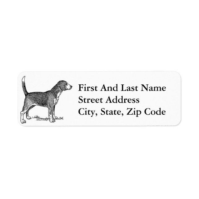 Cute Beagle Elegant Dog Drawing (Front)