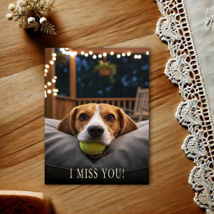 Cute Beagle I Miss You Postcard