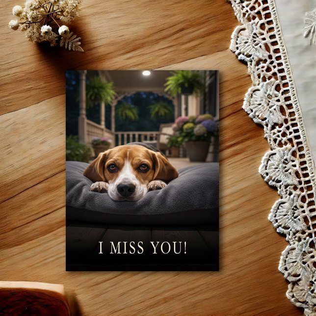 Cute Beagle I Miss You Postcard (Creator Uploaded)