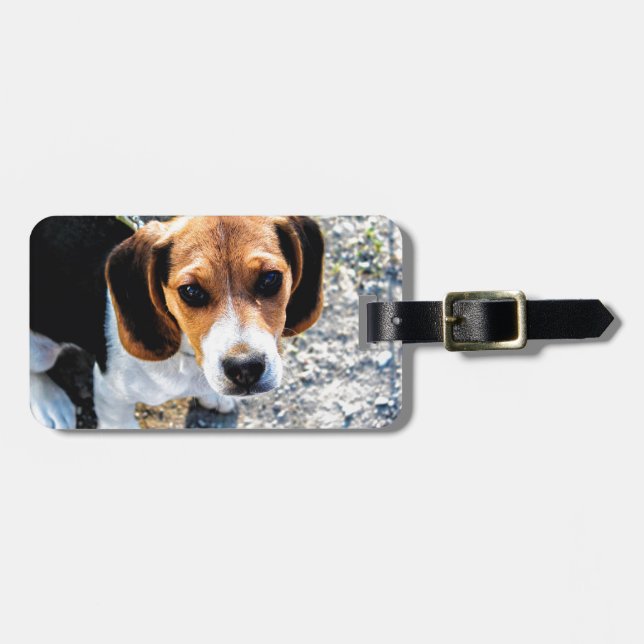 Cute Beagle Luggage Tag (Front Horizontal)
