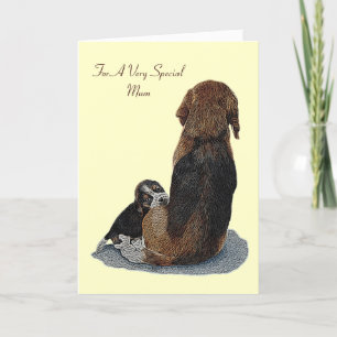 cute beagle puppy cuddling mum dog card