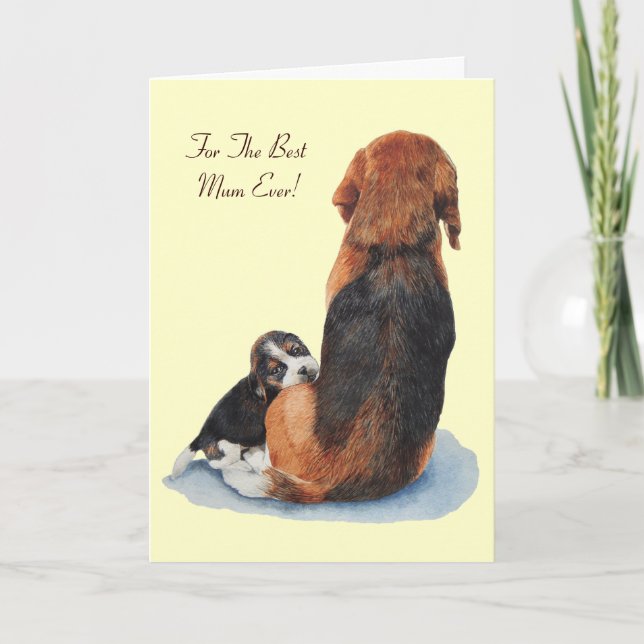 cute beagle puppy cuddling mum dog card (Front)