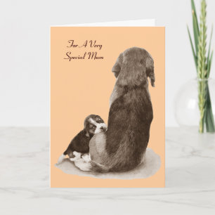 cute beagle puppy dog cuddling mum  card