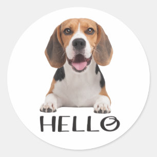 Cute Beagle Puppy Dog Hello Miss You Friendship Classic Round Sticker