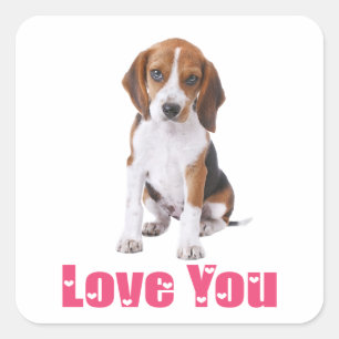 Cute Beagle Puppy Dog Love You Square Sticker