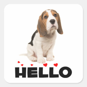 Cute Beagle Puppy Hello Thinking of You Friendship Square Sticker