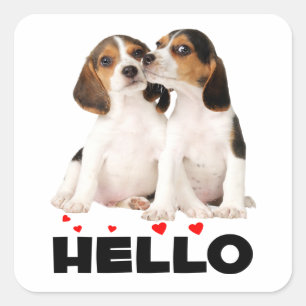 Cute Beagle Puppy Love Hello Thinking of You Square Sticker
