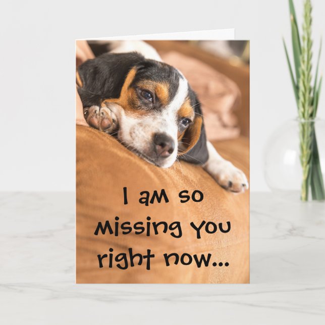 Cute Beagle Puppy Missing You Quote Card (Front)