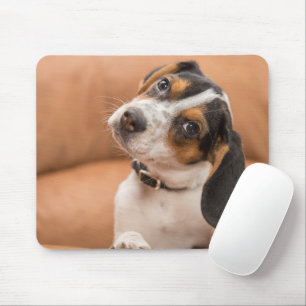 Cute Beagle Puppy Quizical Look Mousepad