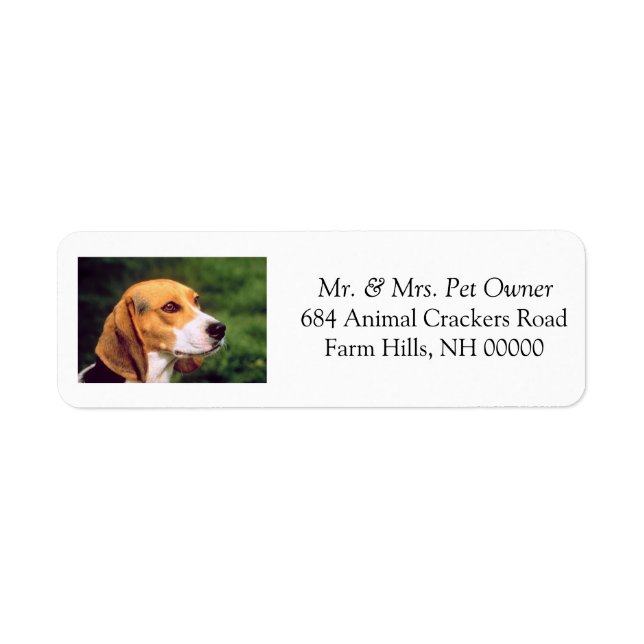 Cute Beagle Return Address Mailing Labels Stickers (Front)