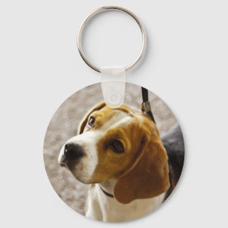 Cute Beagle waiting for treats! Keychain