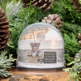 Cute Bear Beach Sunset Pregnancy Announcement Snowglobe