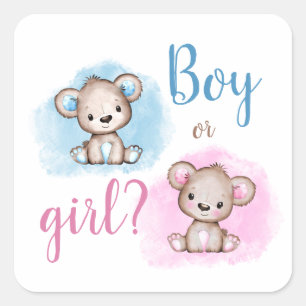 Cute Bear Boy or Girl Gender Reveal Shower Square Sticker