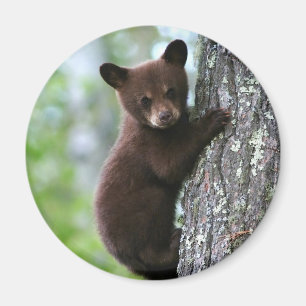 Cute Bear Cub Round Fridge Magnet