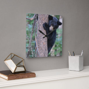 Cute Bear Cub Tree Or Your Own Photo Square Wall C Clock