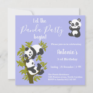 Cute Bear Pandas Party Boy Birthday  Invitation