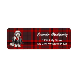 Cute Bearded Collie Sheepdog and Red Plaid Address