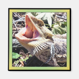 Cute Bearded Dragon Yawning Silent Rebel Yell Magnet