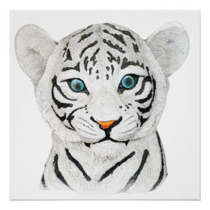 Cute Beautiful White Tiger With Blue Eyes Poster
