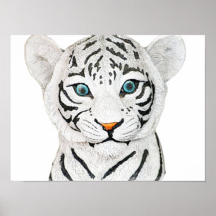Cute Beautiful White Tiger With Blue Eyes Poster