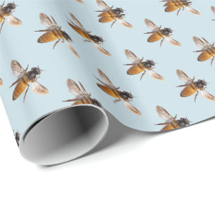 Cute Bee honeybee bumblebee bee pattern Wrapping Paper