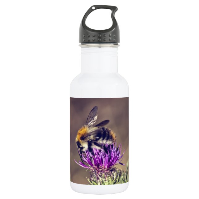 Cute bee on a thistle 532 ml water bottle (Front)